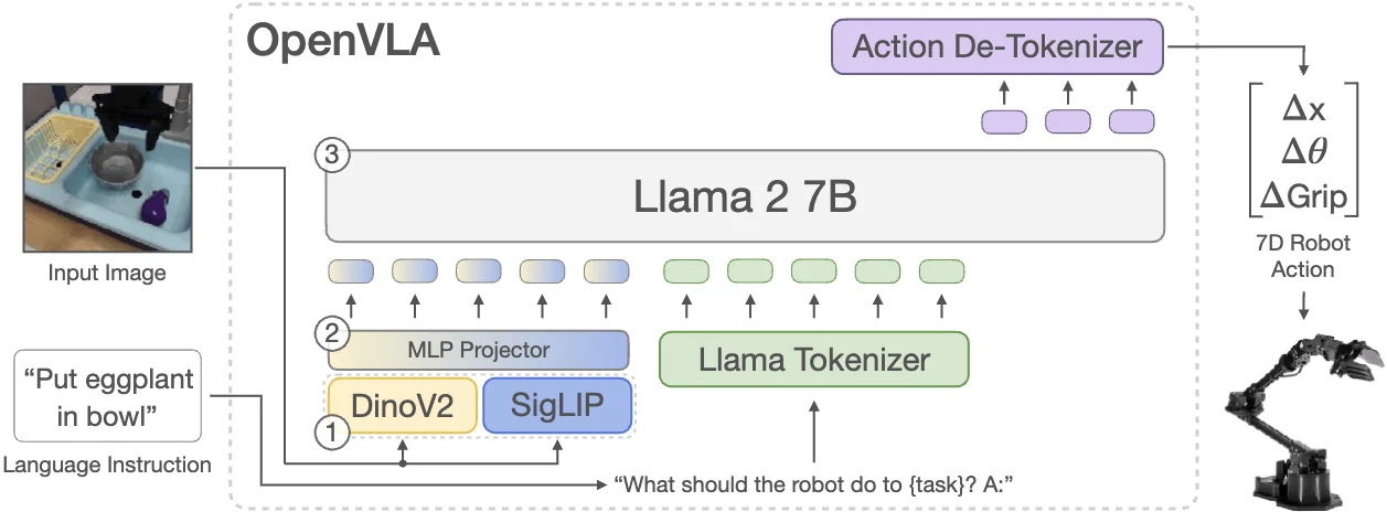 OpenVLA 架构:SigLIP 与 DinoV2 双视觉特征融合,经两层 MLP 投影后接入 Llama 2 7B 动作解码。