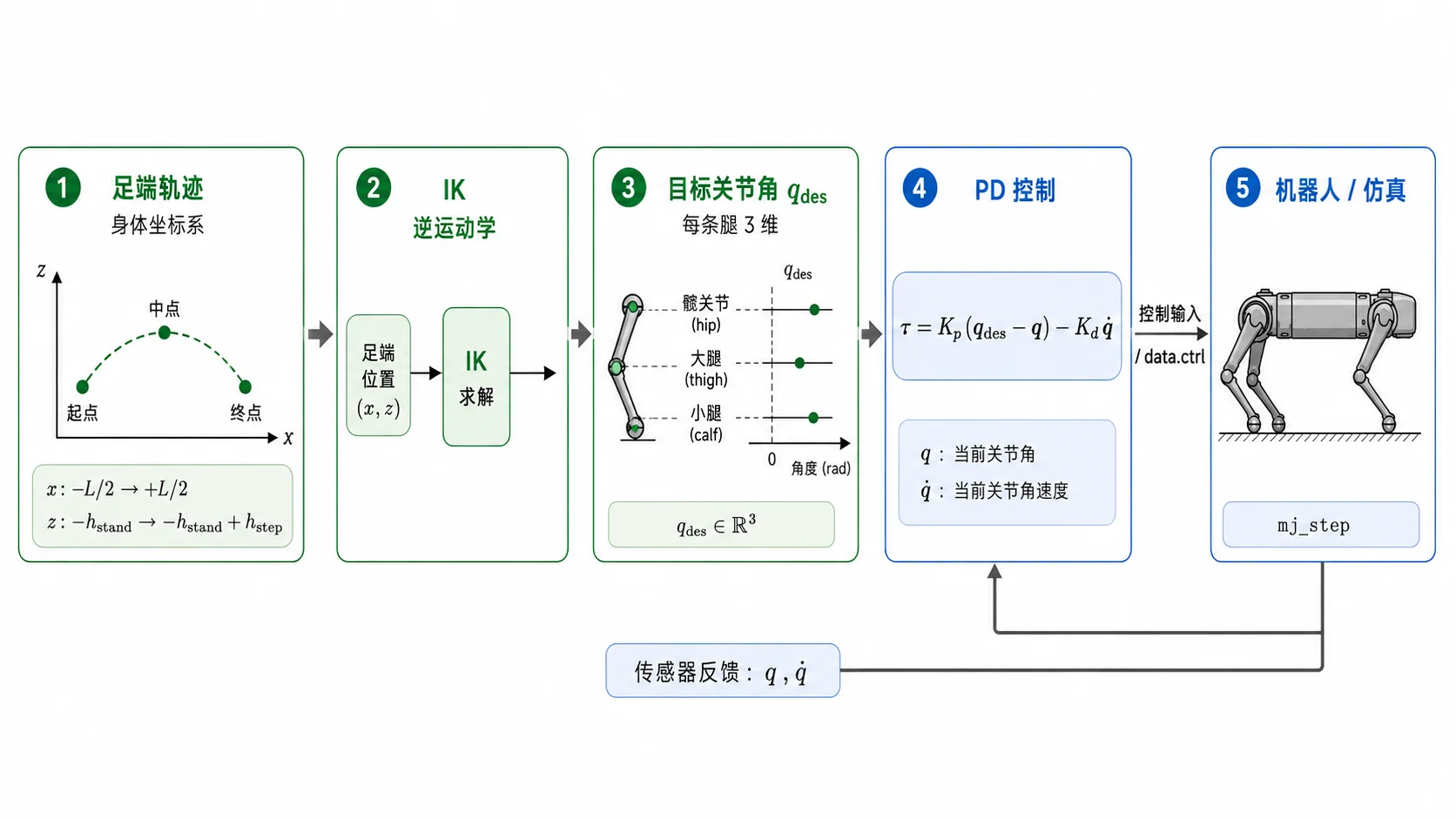足端目标经数值 IK 转为关节目标角,再由关节 PD 伺服跟踪。