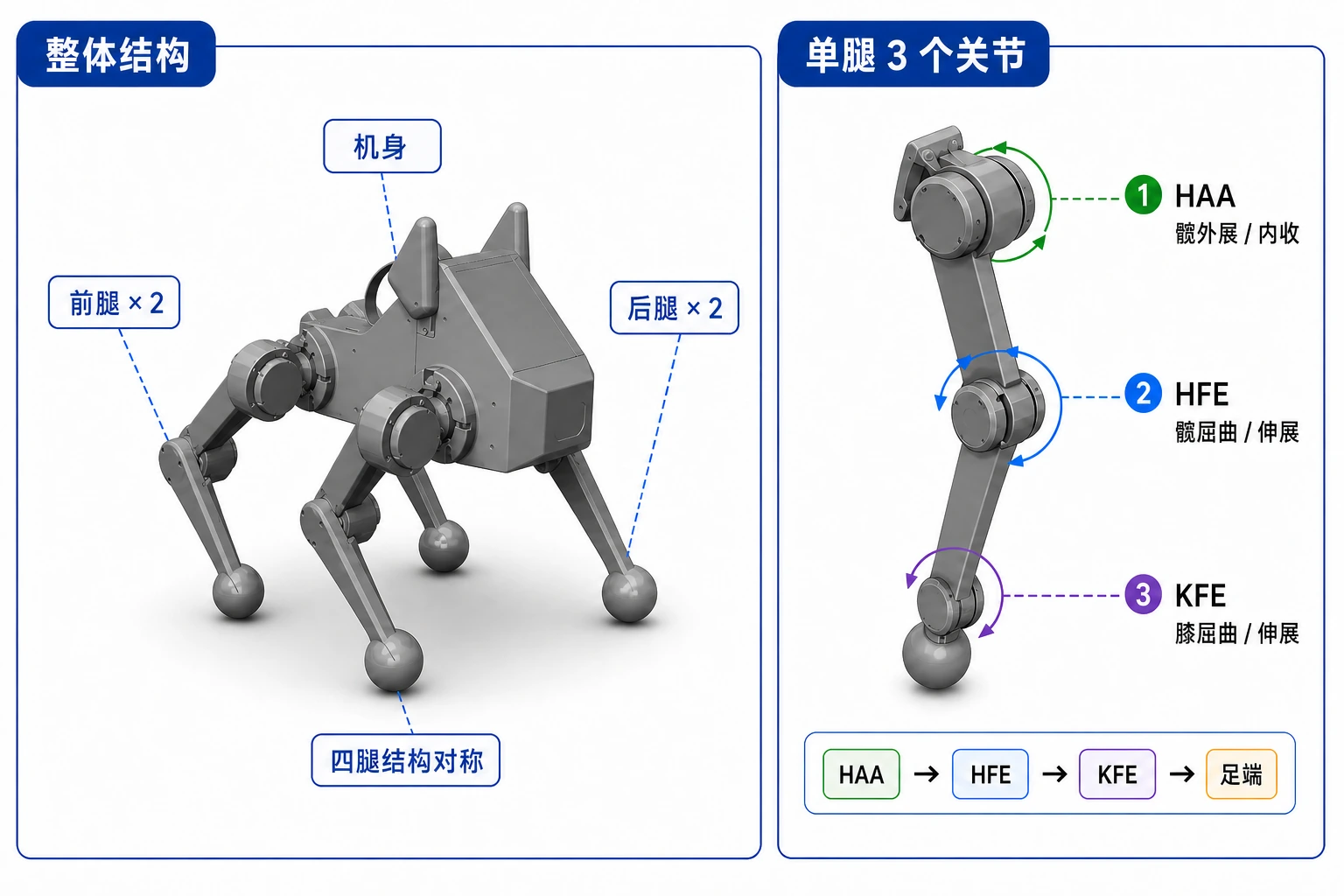 Pupper v3 总体结构：1 个机身 + 4 条结构对称的腿，单腿 3 关节（HAA / HFE / KFE）