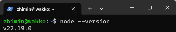 node --version 终端输出