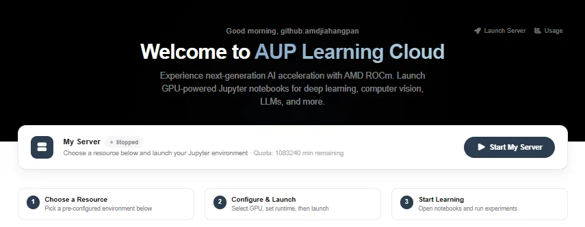 登录成功后的 JupyterHub 欢迎区与服务器入口（局部截图）