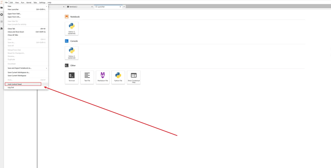 File → Hub Control Panel 退出入口