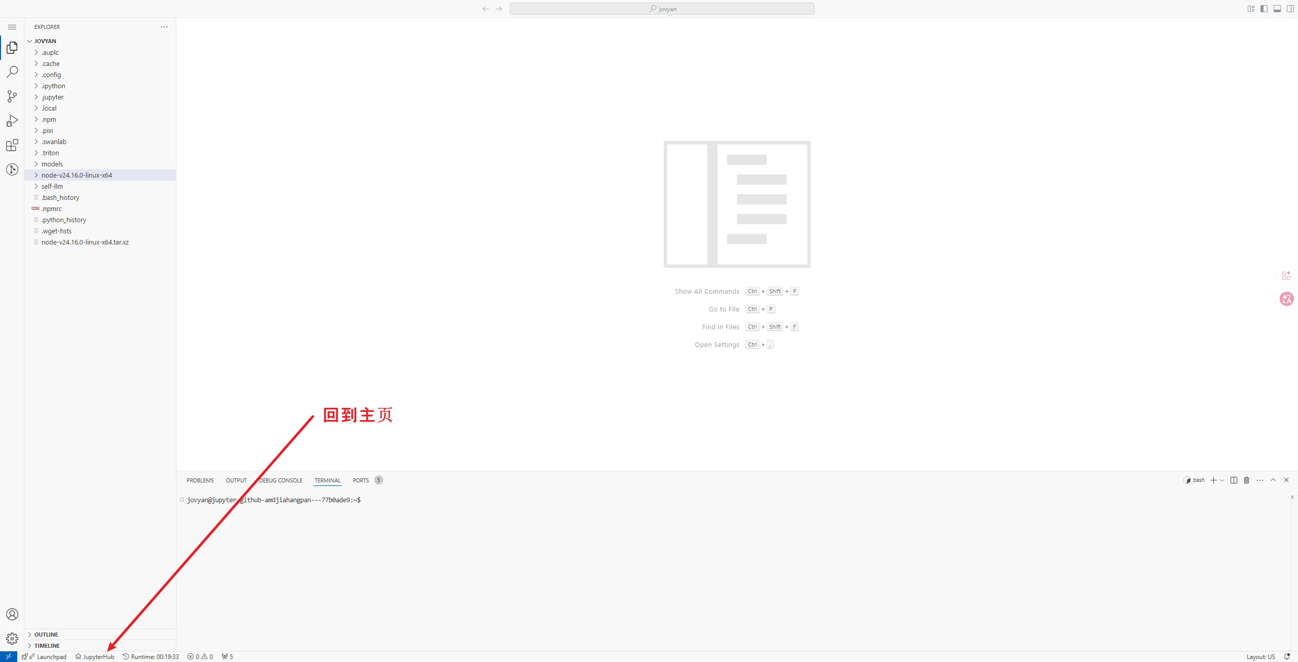 Code Server 左下角 JupyterHub 按钮回到主页