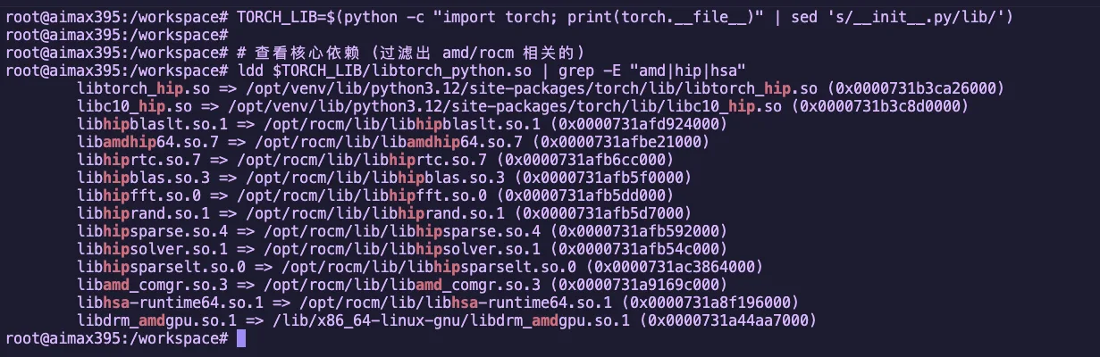 图2.2 ldd 追踪 PyTorch 依赖链路